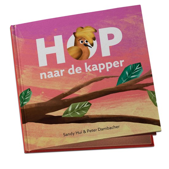 Hop naar de kapper Sandy Hui